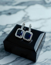 AD Zircons Earrings 0022