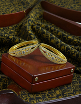 AD Zircons Earrings 0028