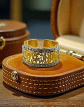 Calligraphic Ring 0003