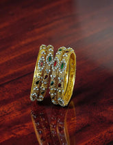 Traditional Bangles 0051
