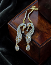 AD Zircons Earrings 0051