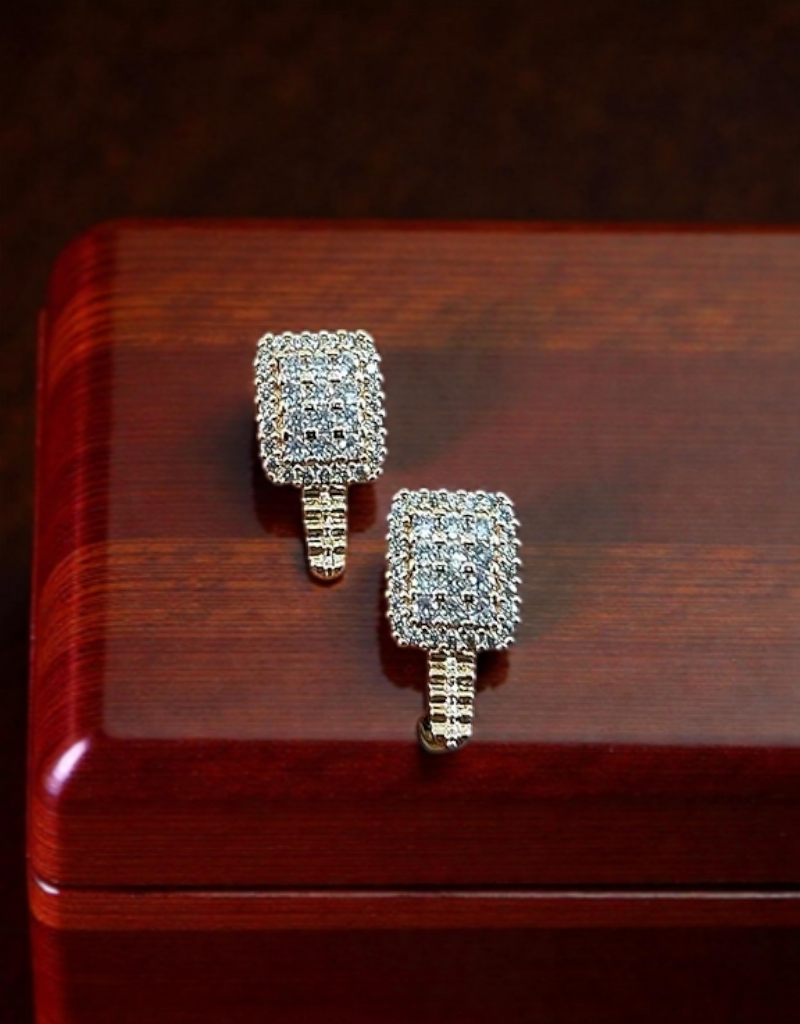 Casual Earrings 0036