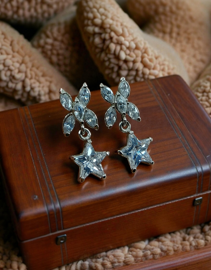 Casual Earrings 0045