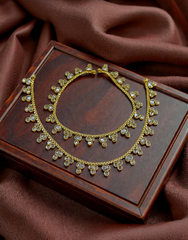 Payal & Pazaib 0011