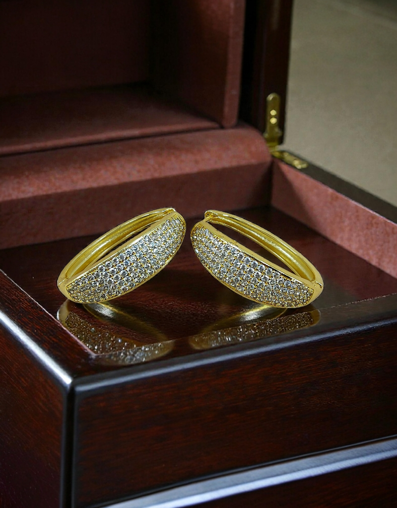 AD Zircons Earrings 0027