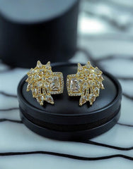 AD Zircons Earrings 0008