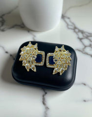 AD Zircons Earrings 0008
