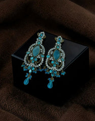 AD Zircons Earrings 0056