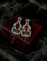 AD Zircons Earrings 0056