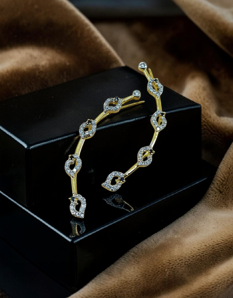 AD Zircons Earrings 0042